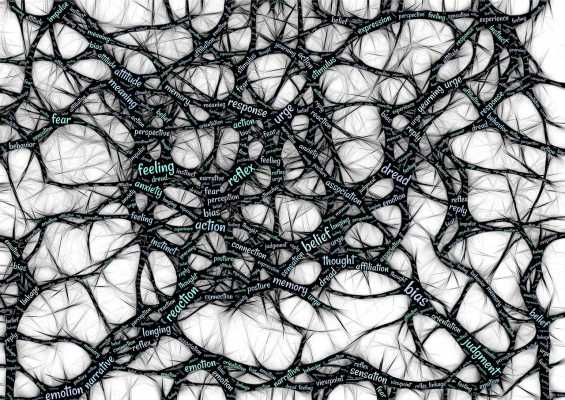 什么是卷积神经网络中的局部连接