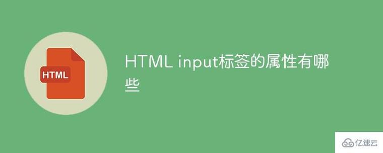 html中input