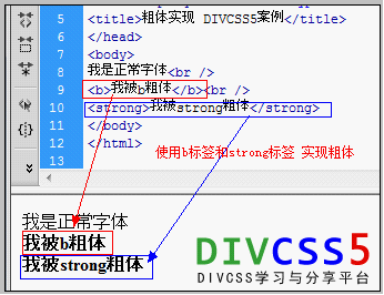 怎么加粗体标记在html里面