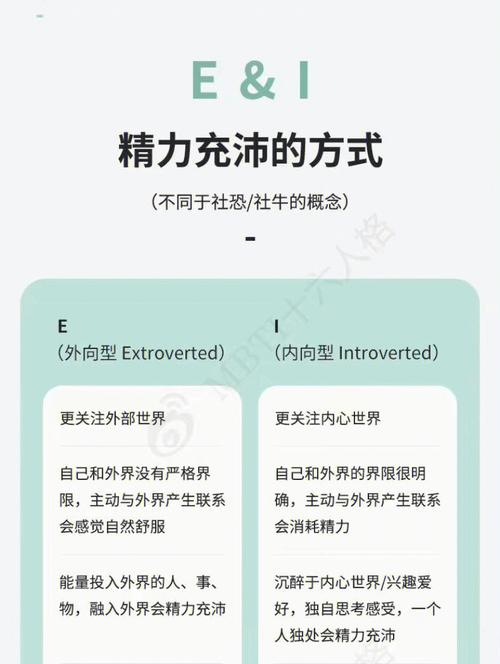 E数是什么意思