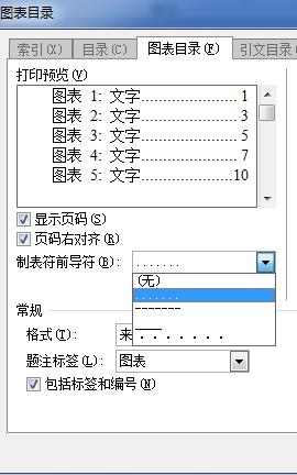 word文档点后面是什么