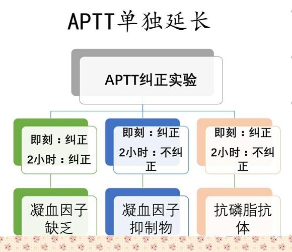 apt测试是什么意思