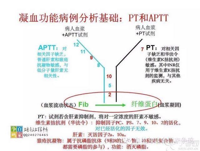 apt测试是什么意思