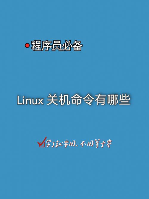 如何在Linux系统中使用lsof命令