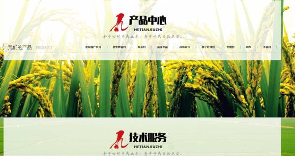 和田网站建设公司