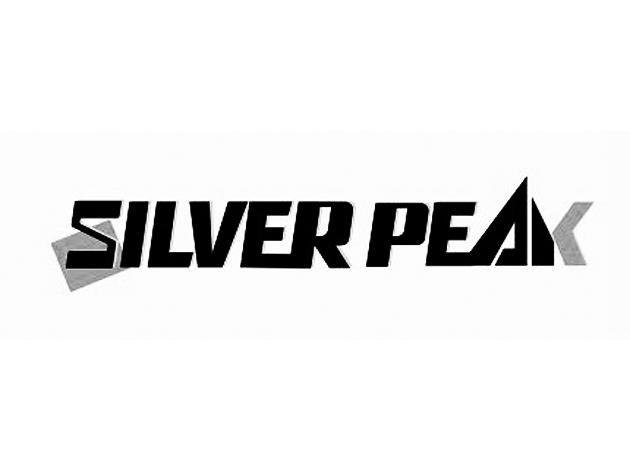 silverpeak是做什么的