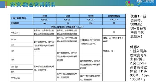 桂哥网络G口广东移动带宽租用优势