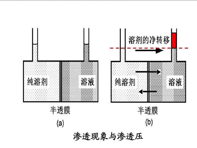 渗透中的exp是什么