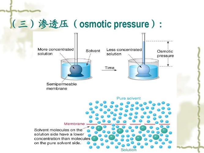 渗透中的exp是什么