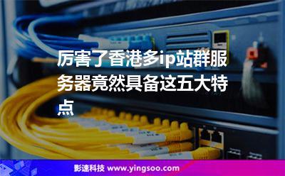 香港多IP站群服务器的优势有哪些