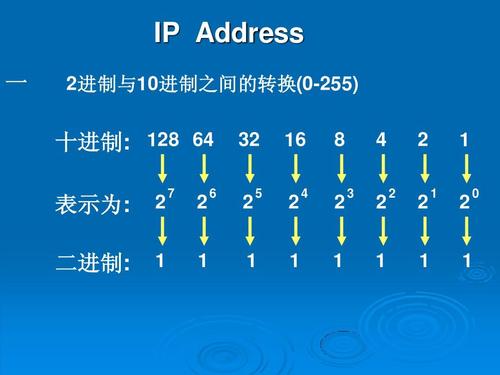 站群服务器IP分配有哪些步骤