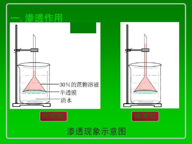 渗透src是什么意思