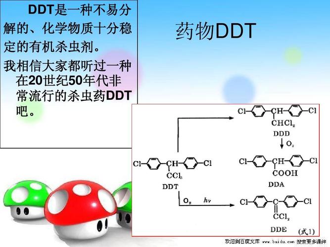 DMIT怎么样，dm好做吗（dmts）