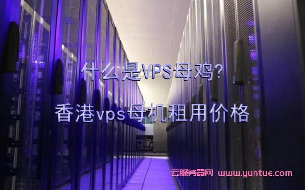 香港母鸡开香港的vps,哪里的香港母鸡服务器好?（香港活鸡供应）