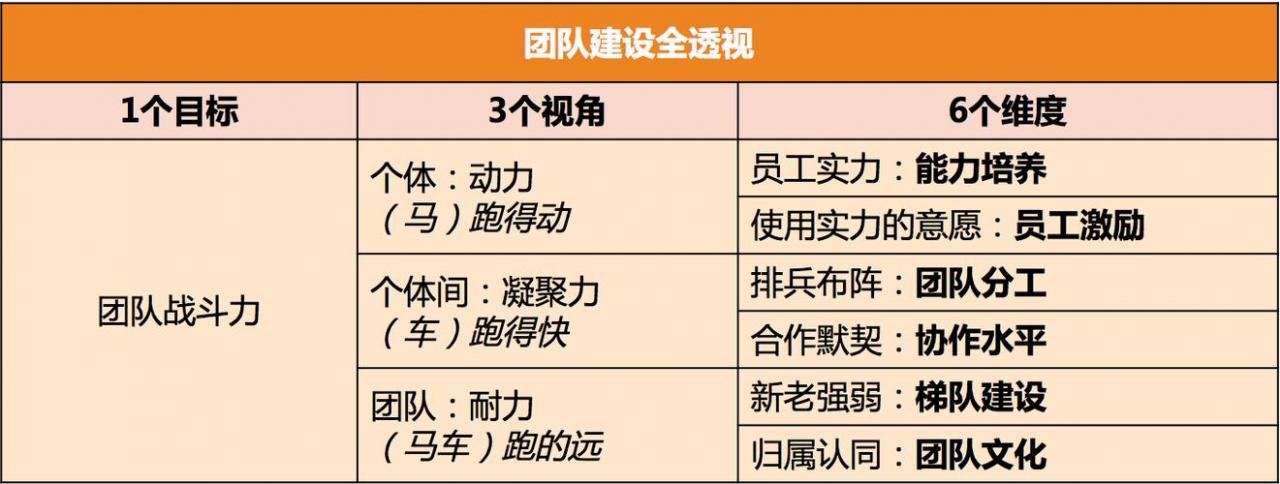 网站团队应该具备哪些技能和素质,网站团队在建设中需要关注哪些要点