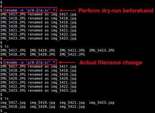 linux如何实现复制文件并重命名（linux如何实现复制文件并重命名命令）