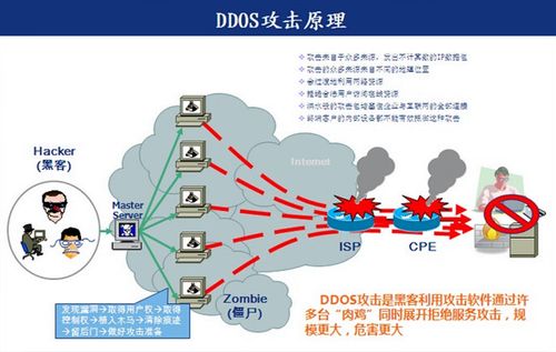 什么是ddos攻击器,ddos攻击器的作用和原理