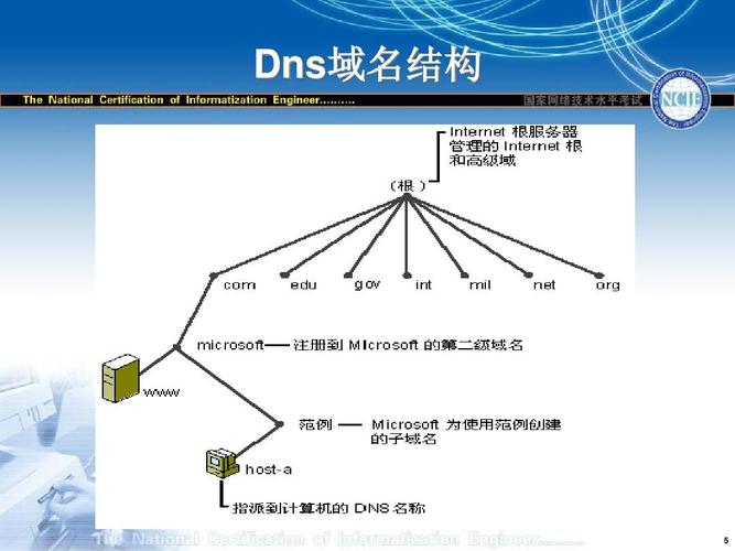 DNS服务器有几个分类你知道吗？