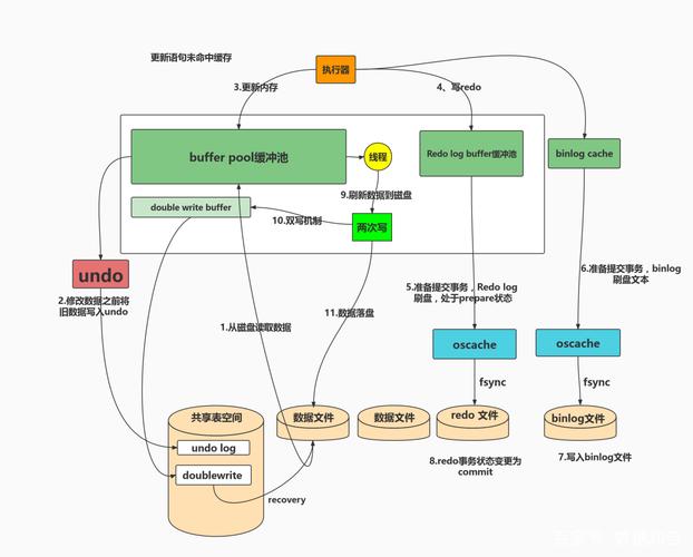 域名服务器租用如何运行mysql