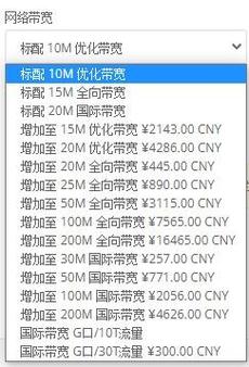 香港大带宽服务器好用吗?香港100M大带宽服务器多少钱?