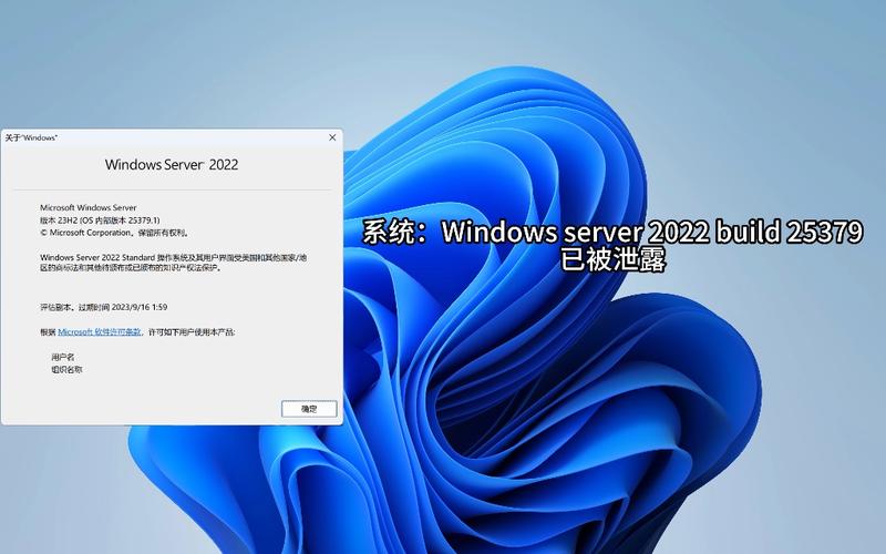 windows2008服务器,windows2008服务器版本2022年更新（windows 2008服务器）