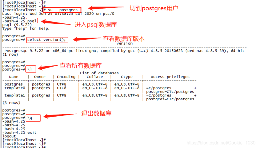 如何在CentOS上安装和配置PostgreSQL数据库