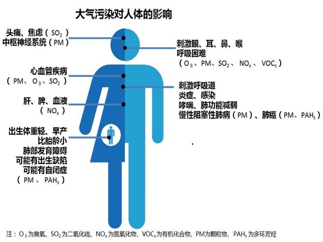 dns被污染有什么后果，防止dns污染