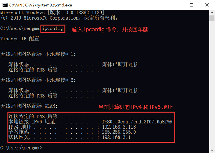 怎么查询网站的ip