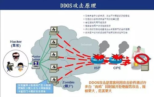 ddos攻击有几种