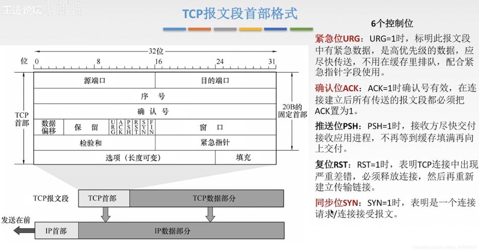 排查arp泛洪攻击怎么排查