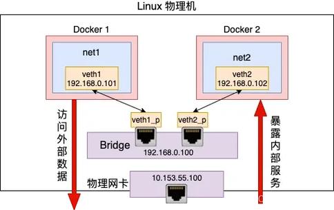 docker如何进入mysql容器