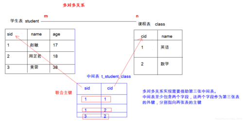 mysql主键约束如何使用