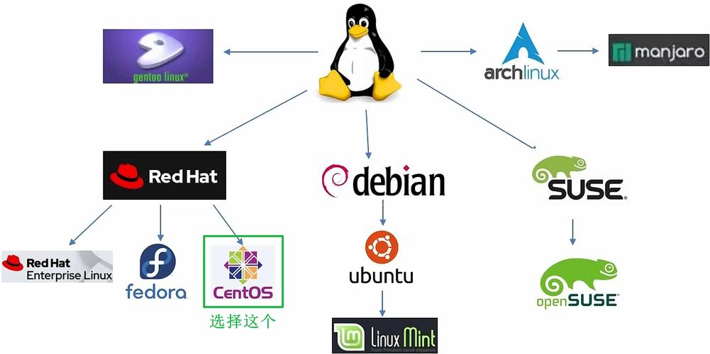 美国服务器Linux系统下常见的软件包是什么