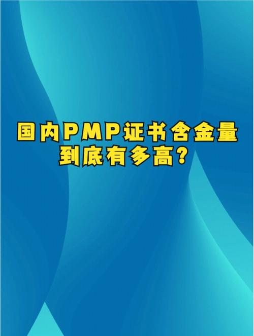 pmp被取消了吗，pmp国内网站