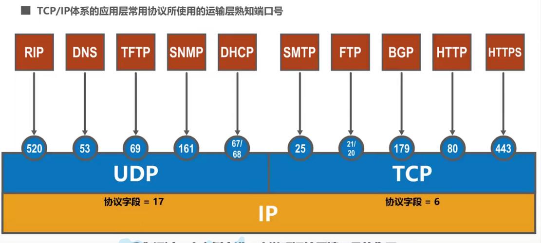 dns端口号是101还是53