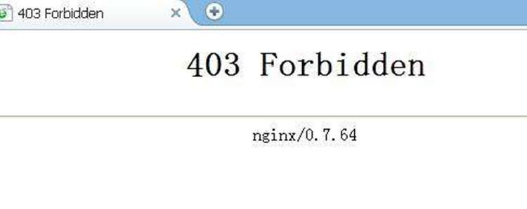 网站错误403是什么，网站提示403错误