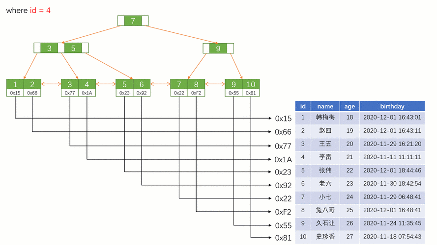 MySQL中如何创建动态报表