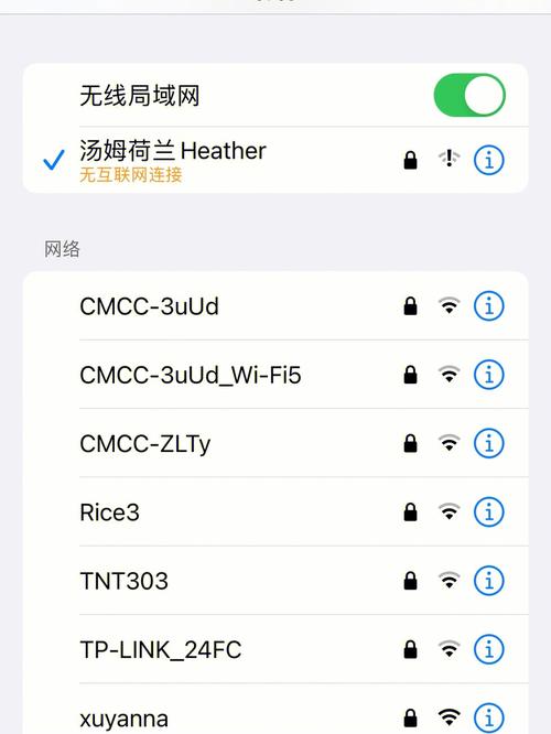 iphone dns 状态异常，iphone手机dns被劫持如何修复