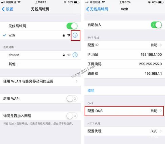 苹果手机dns被污染怎么办啊，iphone手机dns被劫持如何修复