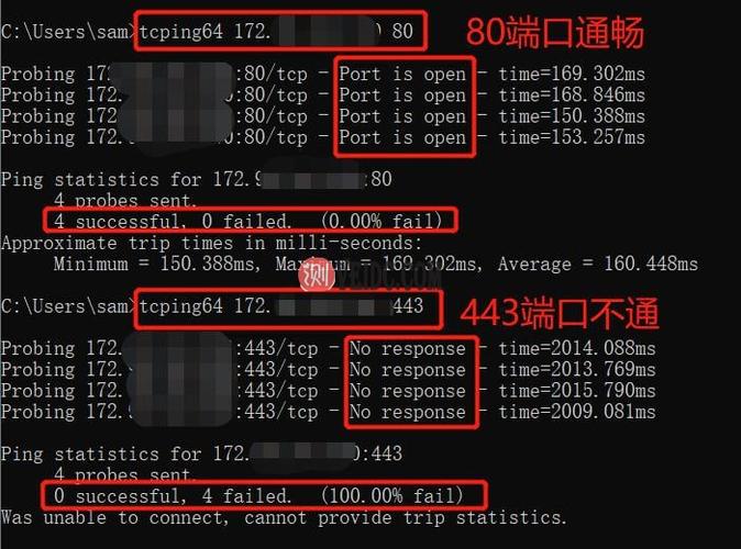 美国VPS租用的问题是什么