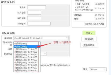 美国VPS租用的问题是什么