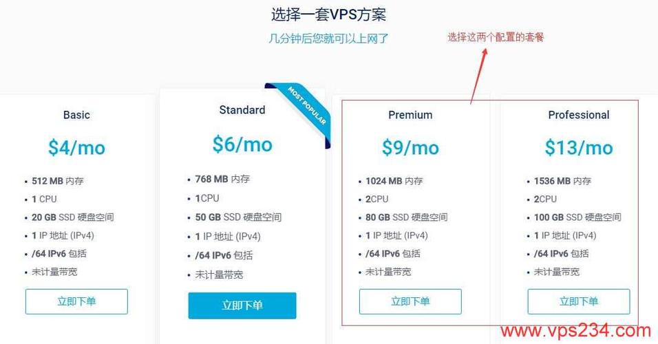 选择一台双线vps主机时要注意什么