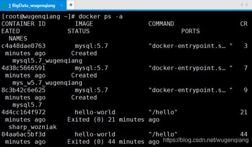 docker中安装mysql时要注意哪些事项