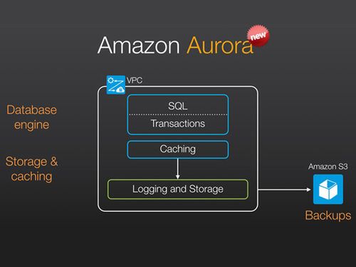 在Amazon Aurora中如何实现数据的加密与安全传输