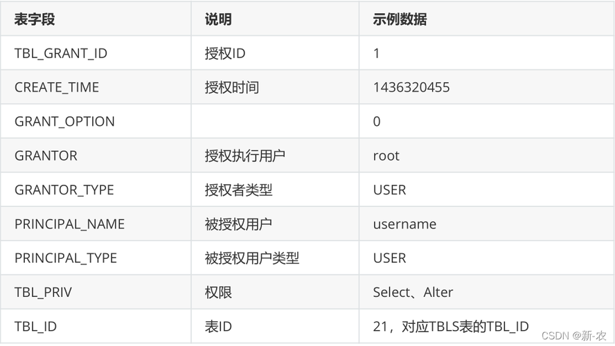 hive的元数据存储位置怎么查看