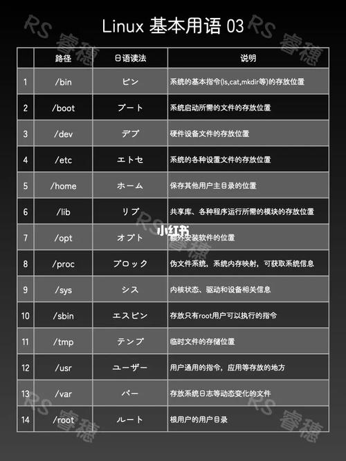 Linux中存储术语的一些简单介绍