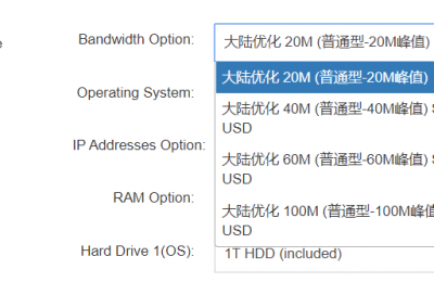 香港服务器的直连带宽和国际带宽有何区别？