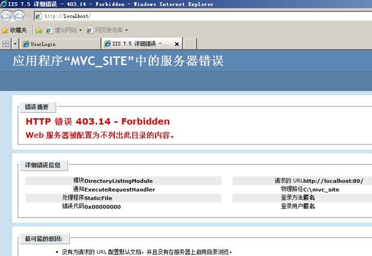 MVC的程序出现403的解决办法