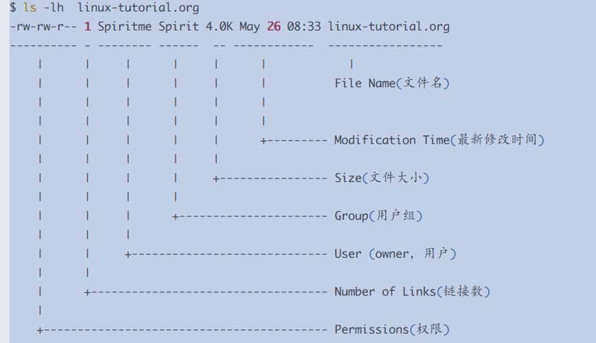 如何linux中的find命令