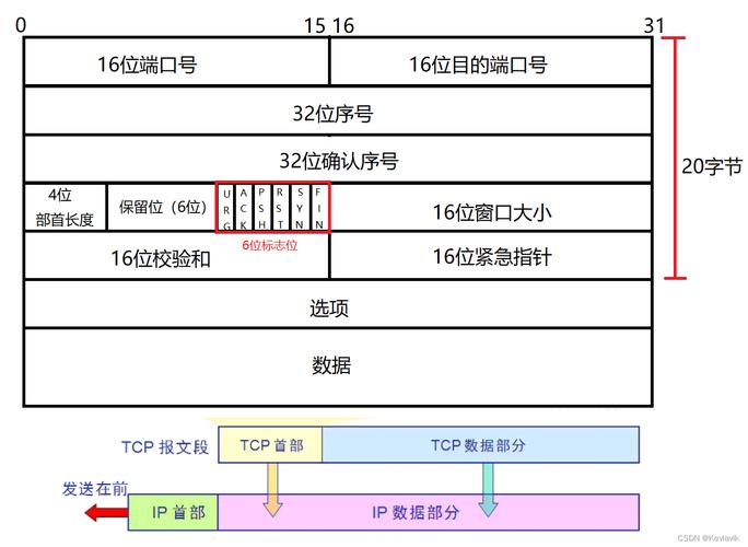 如何在Linux服务器中实时观察 TCP 和 UDP 端口？